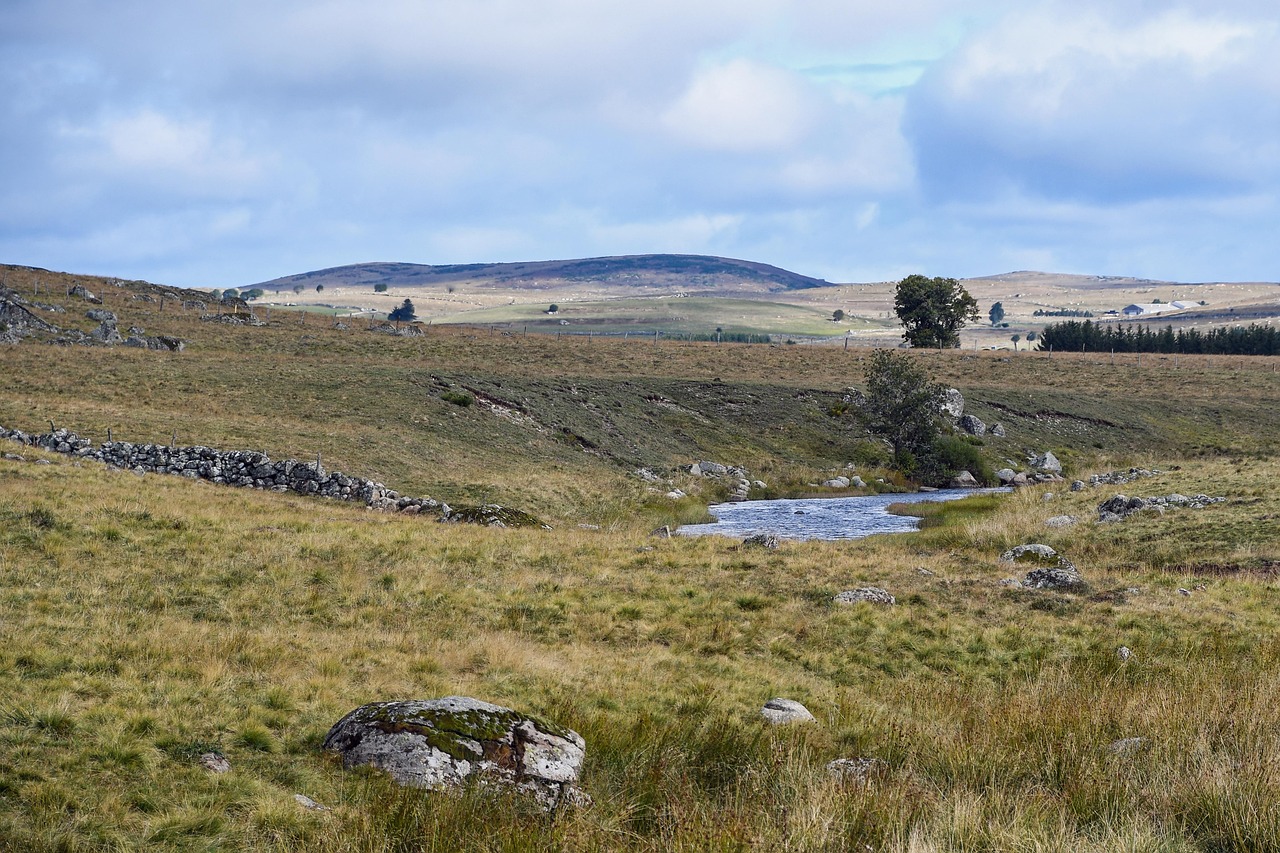 Aubrac