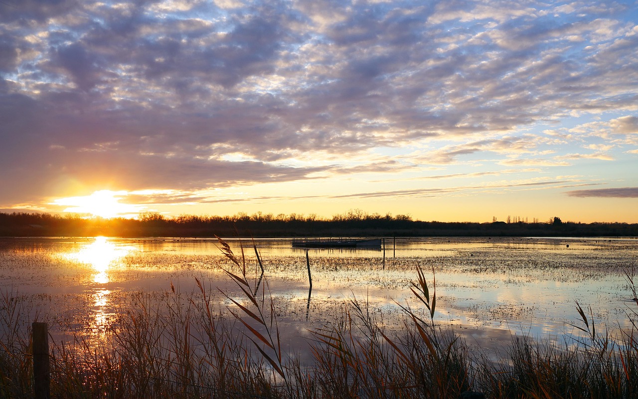 Die Camargue