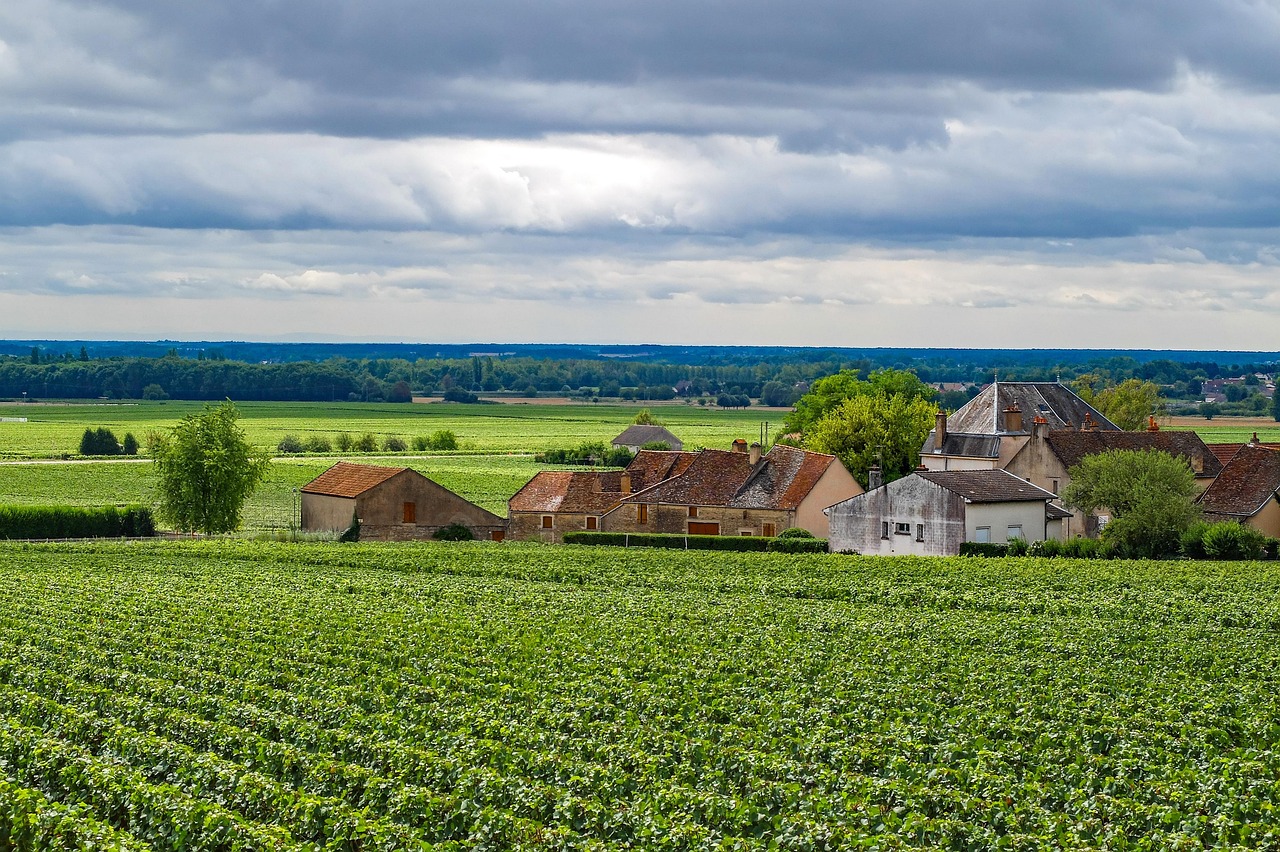 Burgund-Franche-Comté